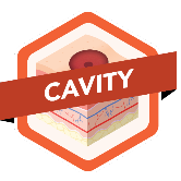 Cavity Wound